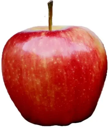Still life poster example for birthday party wall decor